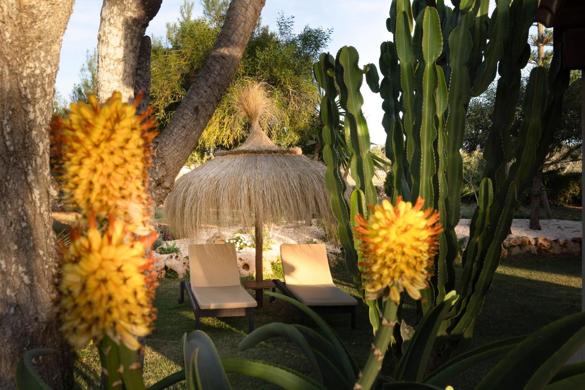 Agroturismo Finca Sa Tanca Cala d'Or  Bagian luar foto